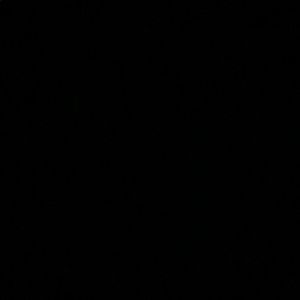 Meet your Posher, Tanner